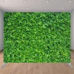 Green Ficus Tree Mini Red Carpet Wedding Party Photo Booth Rental Backdrop Green Ficus Tree Mini Red Carpet Wedding Party Photo Booth Rental Backdrop