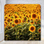 Sunflower farm fields photo booth backdrop Sunflower farm fields photo booth backdrop